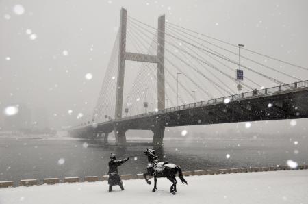       這是12月3日拍攝的吉林省吉林市臨江門大橋雪中景觀。