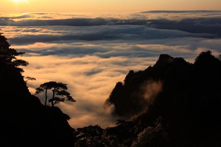 雨后黃山“觀海”